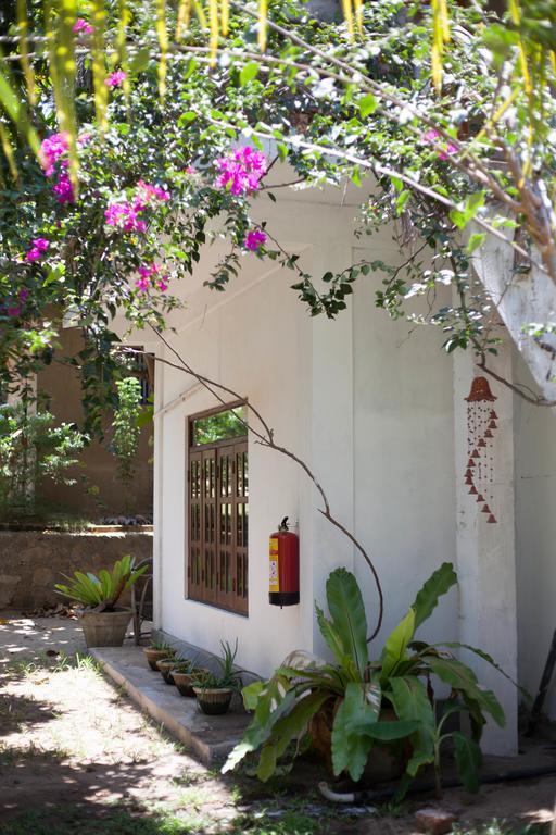 East Surf Cabana Arugam Bay Exterior foto
